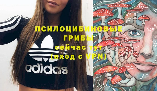 герыч Арсеньев