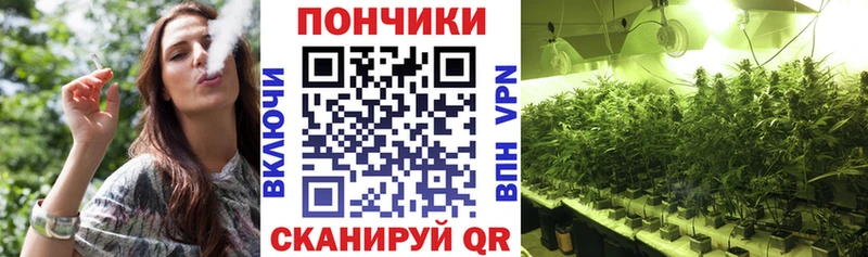 Шишки марихуана Amnesia  Петушки 